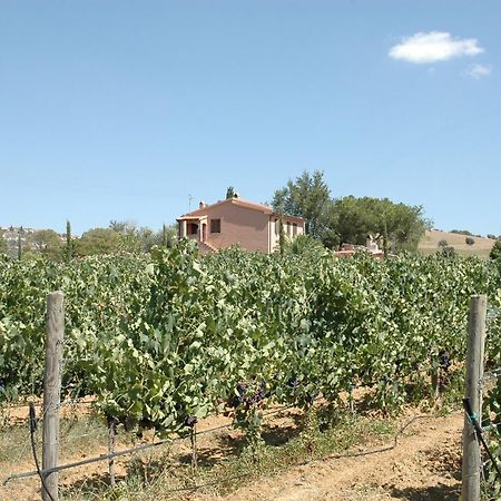Agriturismo Pian Dei Pini Montiano  Exterior foto