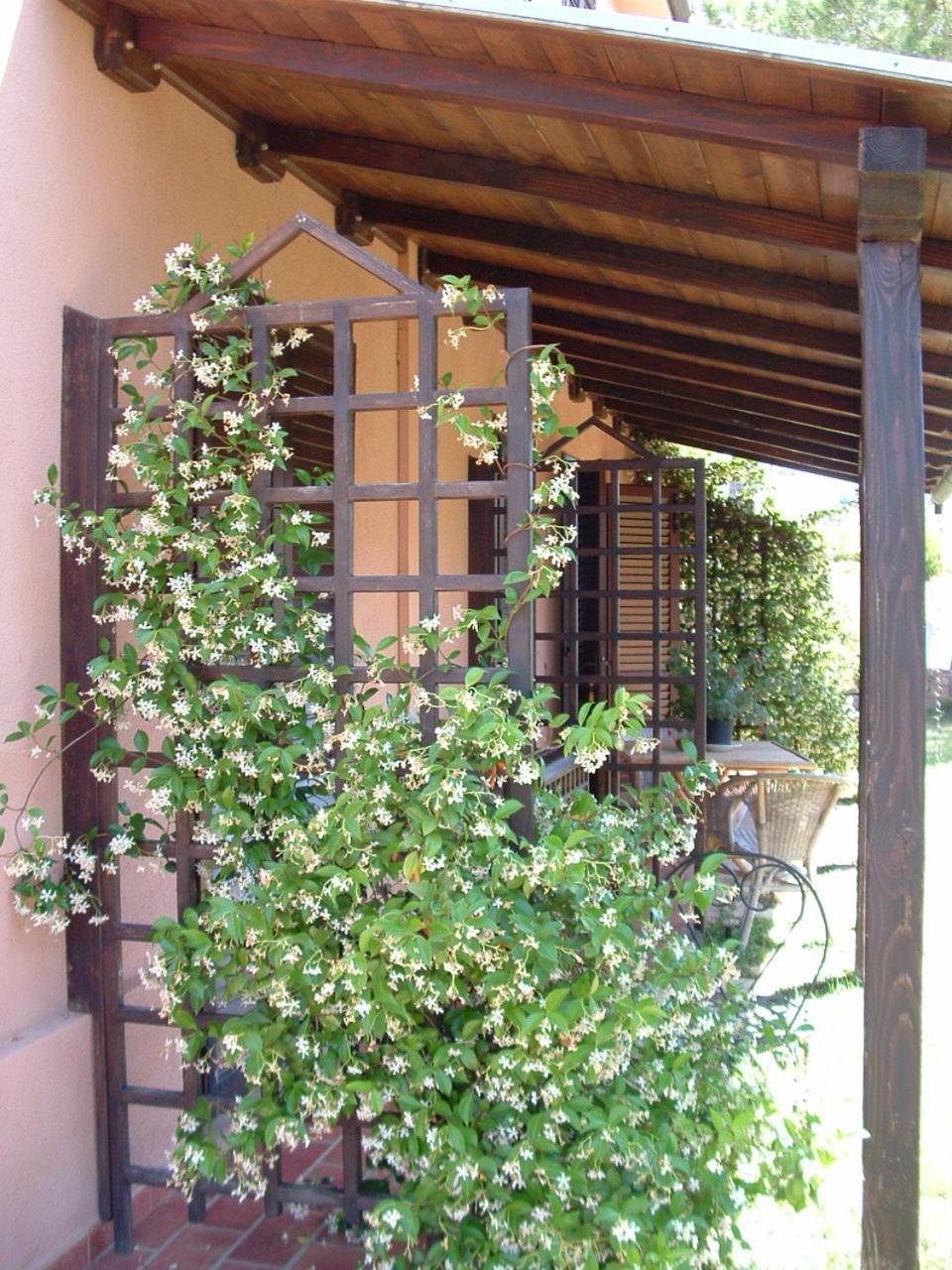 Agriturismo Pian Dei Pini Montiano  Exterior foto